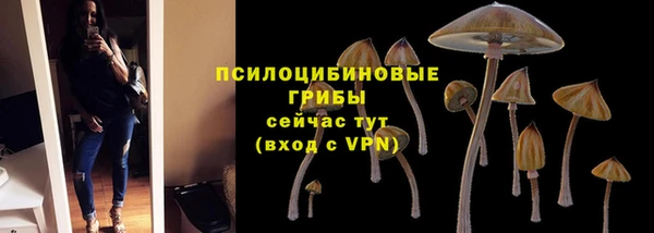 мяу мяу мука Алзамай
