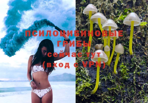 Альфа ПВП Алексин