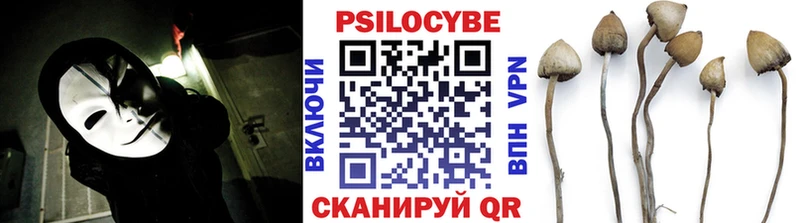 Галлюциногенные грибы Psilocybine cubensis  дарк нет состав  Балашов  купить наркотики цена 